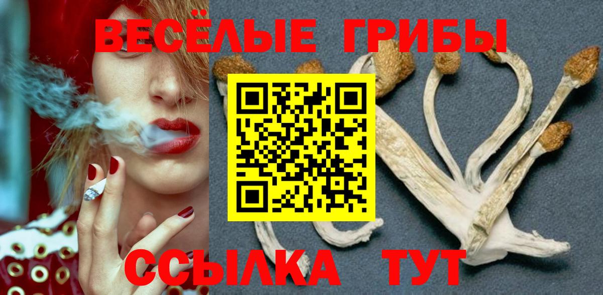 Галлюциногенные грибы мухоморы Новоуральск